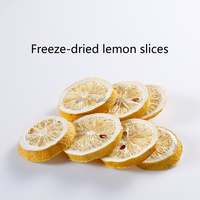 Huishoudelijke 6Kg 8Kg Fruit Food Mini Vacuüm Gedroogde Huis Vriesdroger Lyofilisator Met Olievrije Vacuümpomp Machine Usa Instock