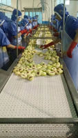 Voedselveilige modulaire bandtransporteurs met vlakke transportband voor de verwerkingslijn van fruit en groenten