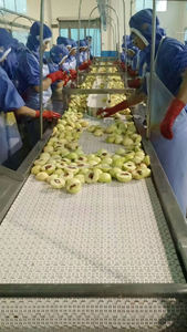 Lebensmittelechte Flachgitter-Modulbandförderer für Obst- und Gemüseverarbeitungslinien - Product Image 6