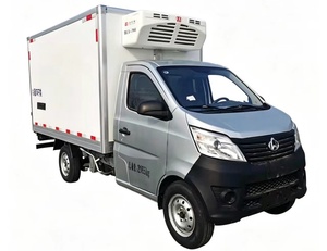 Venta de Camiones Refrigerados Pequeños de <span class=keywords><strong>1</strong></span> <span class=keywords><strong>a</strong></span> 3 Toneladas para el Transporte de Productos Congelados - Camiones Refrigerados - Product Image 3