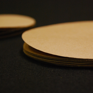 กระดาษทดสอบการงอกของเมล็ดพันธุ์ เส้นผ่านศูนย์กลาง 14.2 ซม. สำหรับการประเมินอัตราการงอกและการเพาะเลี้ยงเมล็ดพันธุ์พืช - Product Image 2