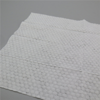 Lingettes désodorisantes personnalisées, 80 feuilles, 100% naturelles, à base de plantes, biodégradables, pour le contrôle des odeurs, lingettes corporelles douces pour chiens et chats
