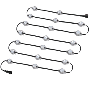 <span class=keywords><strong>ETOP</strong></span> DC 24V RGBW LED Pixel luces al aire libre impermeable IP68 permanente Navidad vacaciones luces Led punto luces para casa - Product Image 1