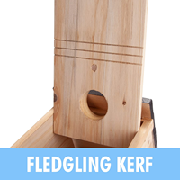 JUNJI Mangeoire à oiseaux en bois avec perchoirs personnalisables Kit de construction de menuiserie pour enfants et adultes