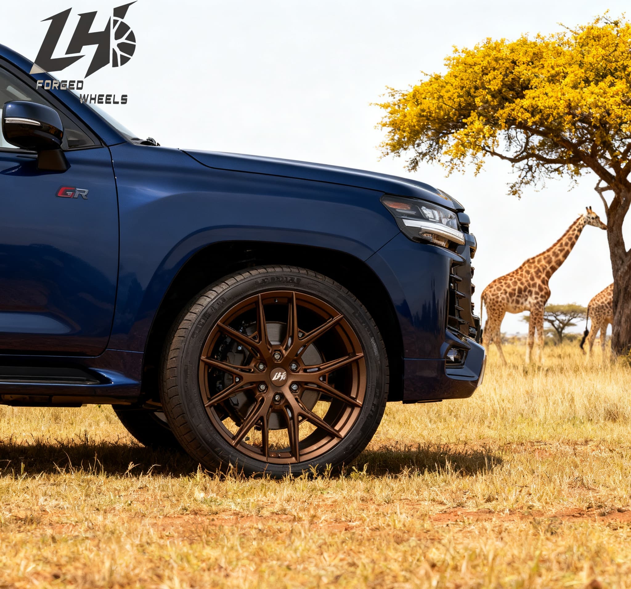 How to Choose the Best Dub Rims 24 for Your Vehicle