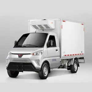 China geely 1.5 ton 2 ton 3 ton 10 ton 20 ton pengangkut daging truk berpendingin listrik mini kecil untuk daging beku Dan ayam