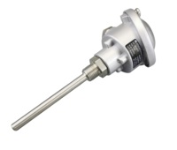 Transmetteur de température personnalisable OEM & ODM HTM228 HJSENSOR PT100 4-20mA avec sonde SS304/SS316L, précision 0,5% FS, IP65