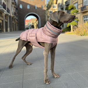 Venta al por mayor reflectante al aire libre galgo gato ropa chaqueta impermeable perro abrigo pequeño lujo invierno lluvia ropa para mascotas - Product Image 6