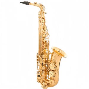 แซกโซโฟนอัลโต EB ระดับมืออาชีพ OEM หัวเบกาไลต์ เคลือบทอง ตัวเครื่องทองเหลือง คีย์คู่ เครื่องดนตรีลมสำหรับผู้เริ่มต้น พร้อมกล่อง - Product Image 2