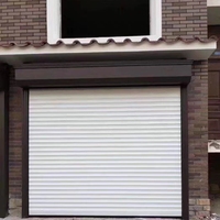 Portes à enroulement anti-effraction en alliage d'aluminium modernes aux couleurs personnalisées pour l'entrée des garages et entrepôts