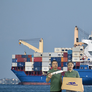 Đầu tiên-class vận chuyển hàng hóa giao nhận DHL <span class=keywords><strong>Express</strong></span> không khí vận chuyển từ thâ<span class=keywords><strong>m</strong></span> quyến Trung Quốc trên toàn thế giớ<span class=keywords><strong>i</strong></span> USA Canada Anh Pháp Đức Trung Đông - Product Image 3