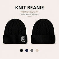 Bonnet en tricot torsadé à revers avec broderie 3D, épais, pour l'hiver, personnalisable avec logo, faible MOQ, vente en gros