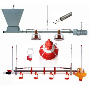 YYC New Design Poultry Farm Chicken House Automatic Poultry Chicken Feeding Line Chicken Pan Feeder For Broiler Layer used