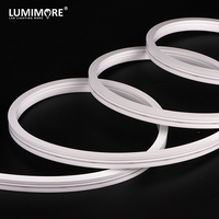 Nouvelle Arrivée Bande Lumineuse LED en Silicone Dimmable 48V, Courbure Latérale, Néon Flexible Blanc RGB, IP67 Résistante aux UV, Horizontale Plate 12*18