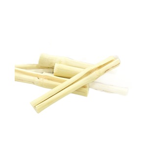 Palitos de Bambú Dulces para Hámster, Conejo, Conejillo de Indias, Chinchilla, Ardilla, Snacks Comestibles para Mascotas, Suministro a Granel de 500g - Product Image 1