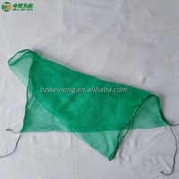 Sac à cordons vert 80x100cm 50g/m² durable WEINONG pour la récolte des dattes, structure stable et autoportante pour usage agricole