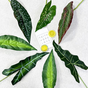 LO-585 Hojas Artificiales de Alocasia, Caladium y <span class=keywords><strong>Begonia</strong></span> al por Mayor, Tallo Único, Follaje Artificial para Decoración del Hogar y Jardín - Product Image 2