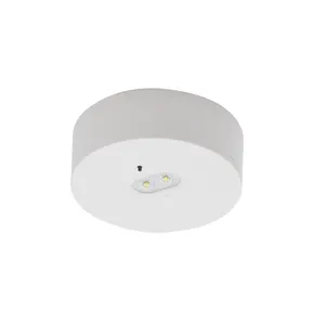 Emergency LED Lamp PC 300 lumen Non-maintained Rechargeable Recessed Round Emergency LED down Light