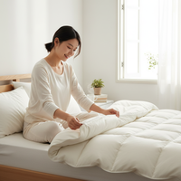 Parure de lit en coton égyptien 1000TC en gros / Draps / Ensemble de draps