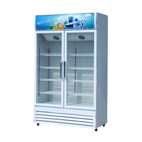 Réfrigérateur Commercial Pepsi/Congélateur Vertical Coca-Cola avec Porte Vitrée Vitrine Réfrigérée