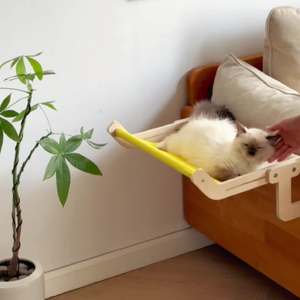 Hamaca de pared de madera para gatos, colgante, para tomar el sol en el balcón, para todas las estaciones, extraíble y lavable, venta al por mayor - Product Image 1