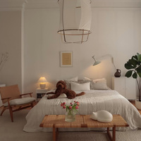Décoration d'appartement, mobilier, personnalisation de toute la maison, design d'intérieur, solution clé en main compacte pour deux chambres