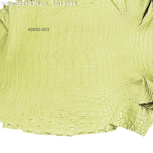 Vera <span class=keywords><strong>pelle</strong></span> ci sono sacche da golf in <span class=keywords><strong>pelle</strong></span> di coccodrillo, scatole di sigari in <span class=keywords><strong>pelle</strong></span> di coccodrillo - Product Image 6