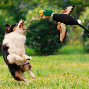 Bền EVA bay vịt tương tác đồ chơi sang trọng không có pin Squeaky phong trào con chó đồ chơi cho lấy Đào Tạo - Product Image 3