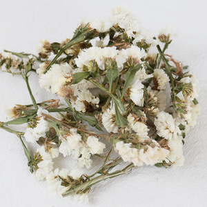 Venta al por mayor de cabezas de flores de olvido-mi-no-te-olvides secas a granel para decoración de bolsas, velas, tarros de cristal, material de manualidades DIY, paquete. - Product Image 3