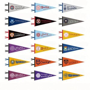 Banderines y Banderas Personalizados para Equipos Deportivos Universitarios, Banderas Decorativas Hechas a Medida, Decoración con Espíritu Escolar - Product Image 1