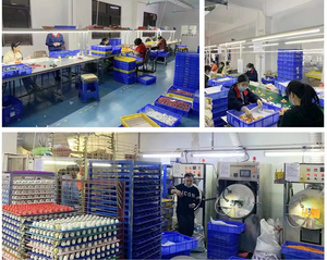 OEM su misura giocattolo del fumetto <span class=keywords><strong>3D</strong></span> PVC stampato <span class=keywords><strong>Action</strong></span> <span class=keywords><strong>Figure</strong></span> arte plastica vinile figura dal Designer - Product Image 6