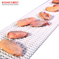 Bande transporteuse en plastique de convoyeur à bande de petit pas de Hongsbelt HS-400B pour le détecteur de métaux
