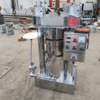 Nieuwe DINGSHEGN Koolstofstaal Automatische Koud-Warm Pers Oliepersmachine Olijfolie Theezaadolie Industrieel Gebruik 50kg/u