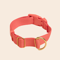 Collier de chien en nylon de haute qualité pour la marche quotidienne, la randonnée et la formation.