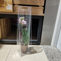 Boîte de transport haute pour fleurs, avec design respirant et résistant aux chocs, pour emballage floral, OEM personnalisé