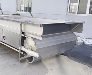 Solution de séchage automatique pour les usines de transformation des fruits, machine de séchage en acier inoxydable pour les feuilles de légumes - Product Image 4