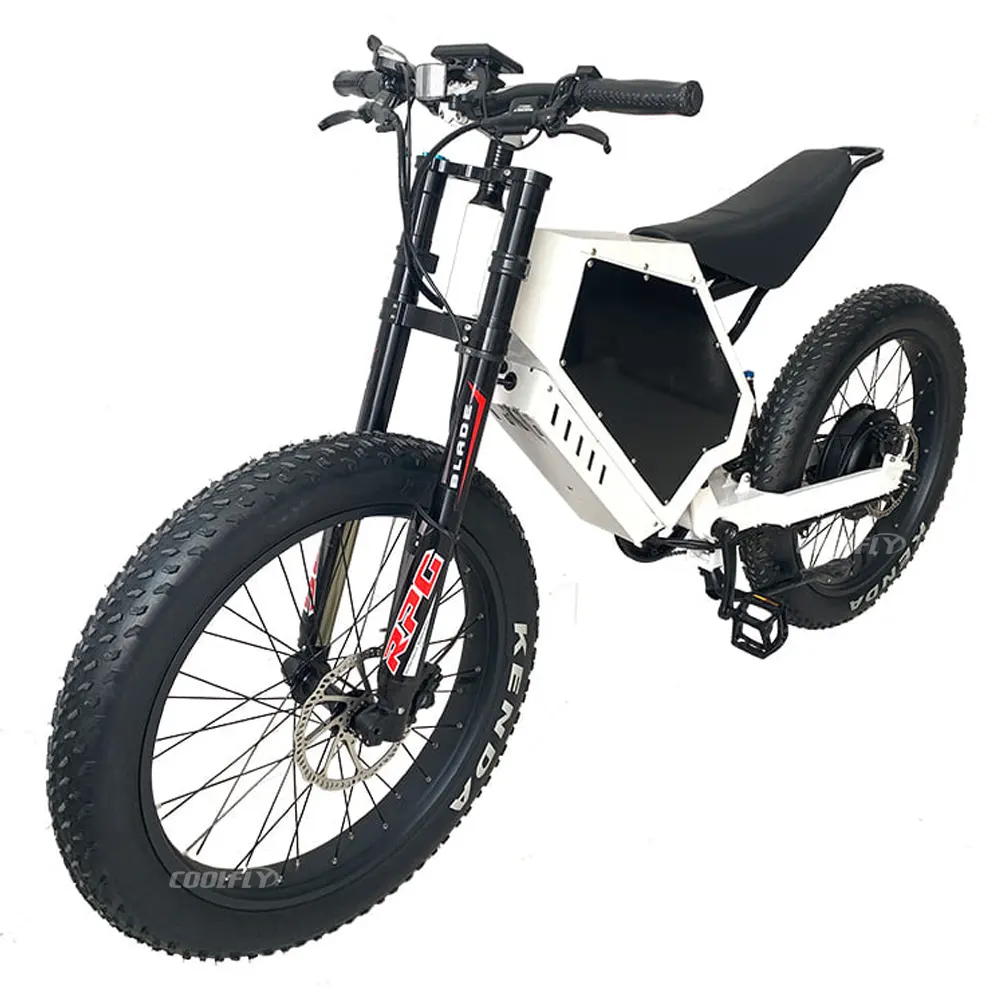 Design da viaggio all'aperto fat e-bike two ron bike bicicletta elettrica mountain 5000w 8000w 12000w 15000w telaio personalizzato di alta qualità