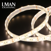 Bande lumineuse LED 5050 60 LED, IP65, haute luminosité, étanche, découpable, PCB 10 mm de largeur, DC12V/24V