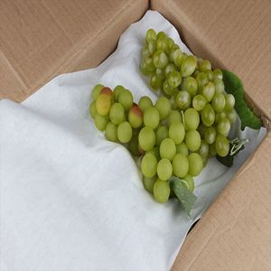 Almohadillas Absorbentes Desechables Ecológicas para Frutas, para Envasado al Vacío de Carne, Mariscos y Frutas - Product Image 3