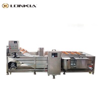 Lonkia Hoge Capaciteit Luchtbel Pruimen Groep Hami Meloen Haw Reinigingsmachines Groene Bladgroente Ozon Wasmachine