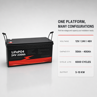Batterie LiFePO4 à décharge profonde pour stockage d'énergie solaire domestique, étanche IP65, auto-chauffante, Bluetooth, OEM ODM, 12V 24V 48V