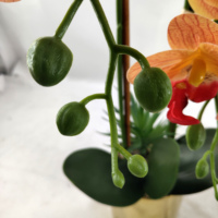 Set Pot Bonsai Phalaenopsis, gaya Nordic untuk rumah ruang tamu dekorasi meja untuk Halloween Hari Valentine wisuda