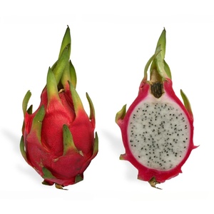 Té <span class=keywords><strong>Matcha</strong></span> Orgánico Personalizado OEM con Sabor a Pitaya, Té <span class=keywords><strong>Matcha</strong></span> de Fruta del Dragón Premium en Hojas Sueltas, Compre <span class=keywords><strong>Matcha</strong></span> Rosa con Antioxidantes Naturales - Product Image 2