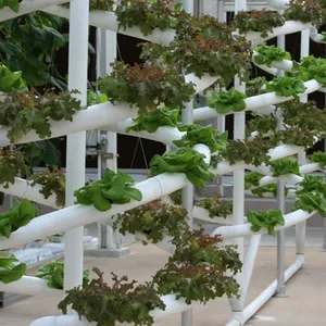 2023 Garten Indoor Gemüse und Obst Vertikale Landwirtschaft Aeropo nische Bewässerung Hydro po nische Anbau pflanzen türme/