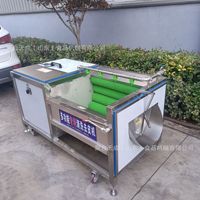 Volautomatische Radijs Gemberwortelaardappelschiller Zuinige Fruit-En Groenteschilmachine Hete Verkoop