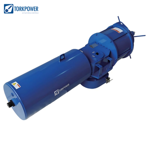 ตัวกระตุ้นลมแบบแก๊ส TORKPOWER รุ่น BP ซีรีส์ BP08S-250-DA แบบสองทิศทาง - Product Image 1