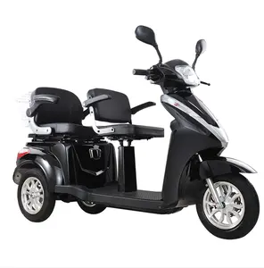 Electric Tricycle Scooter With 2 Seats 1000W High Power Tricycle With EEC Certification