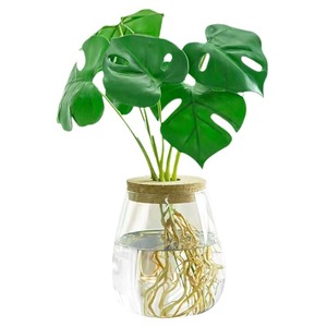 Emballage transfrontalier créatif pour <span class=keywords><strong>vase</strong></span> en verre transparent paresseux <span class=keywords><strong>Bouteille</strong></span> de plante hydroponique en liège écologique pour fleur d'aneth <span class=keywords><strong>vert</strong></span> - Product Image 4