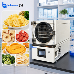 Mini-déshydrateur sous vide de laboratoire LABOAO avec <span class=keywords><strong>pompe</strong></span> <span class=keywords><strong>à</strong></span> vide intégrée - Product Image 2