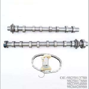 Kit completo de cadena de distribución de árbol de levas para motor Peugeot Citroen 1,5 dv5r 1638159880 1697054780 9830580480 9828655380 9828655580 - Product Image 4